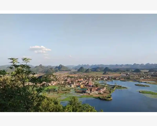 祛脾胃湿热，建议饮食调理，中医科普指南！
